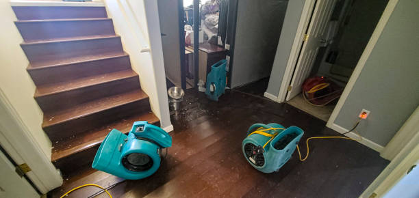 Best Water damage cleanup near me  in Nutter Fort, WV
