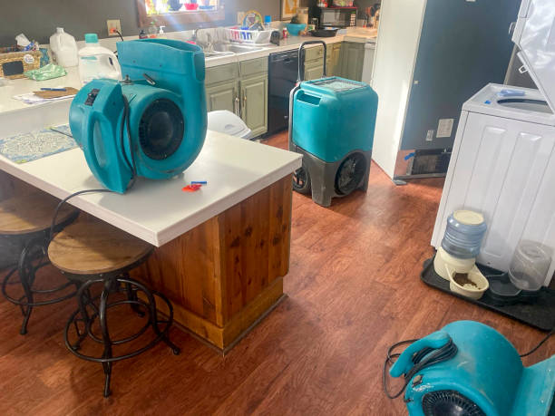 Best Water damage restoration experts  in Nutter Fort, WV