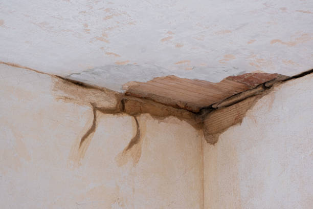 Water damage restoration insurance claims in Nutter Fort, WV