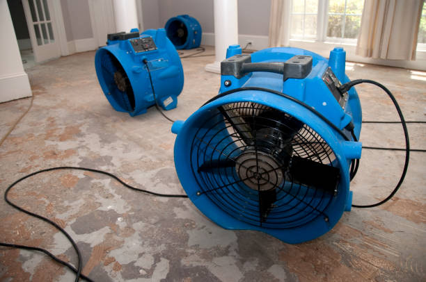 Best Water damage contractors near me  in Nutter Fort, WV