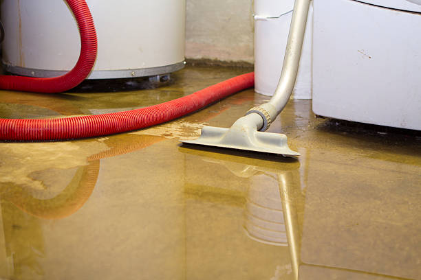 Best Water damage cleanup near me  in Nutter Fort, WV