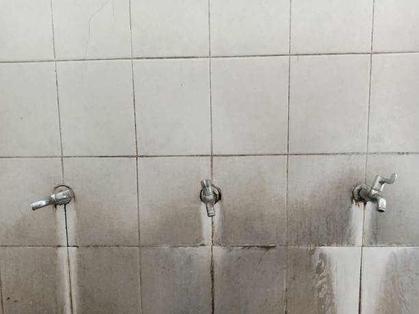Best Emergency water damage restoration  in Nutter Fort, WV