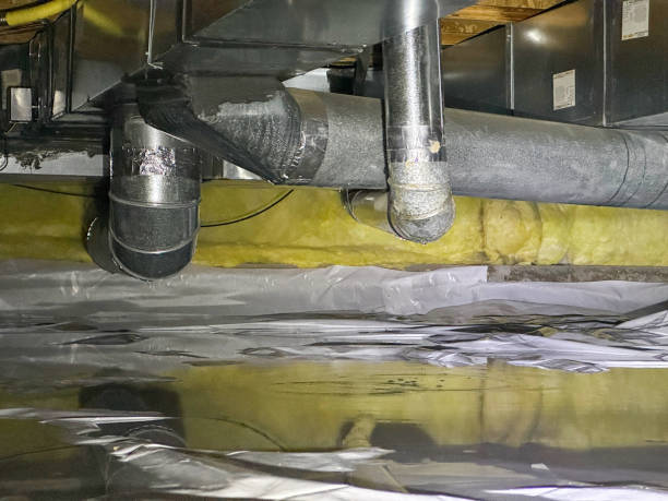Best Water damage contractors near me  in Nutter Fort, WV